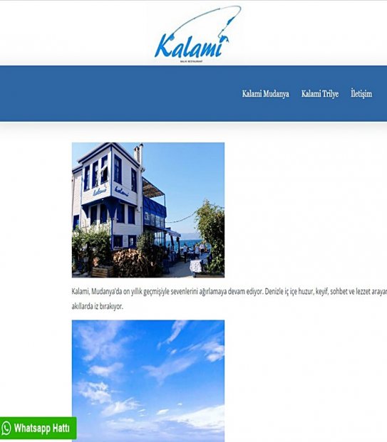 Bursa Web Site Tasarım Firması Bursa Web Site Seo Ajansı Web Site Fiyat Web Site